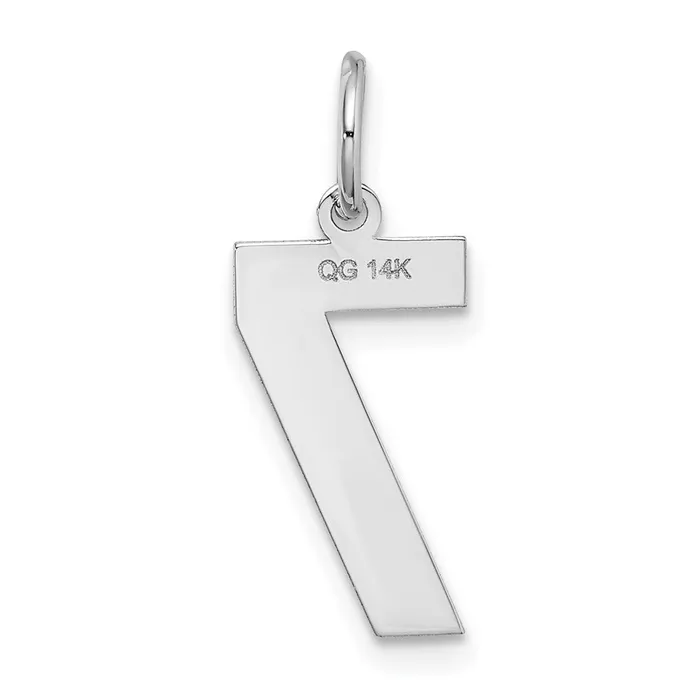 TreasureFineJewelers 14k White Gold Medium Satin Number 7 Charm Charm Necklaces