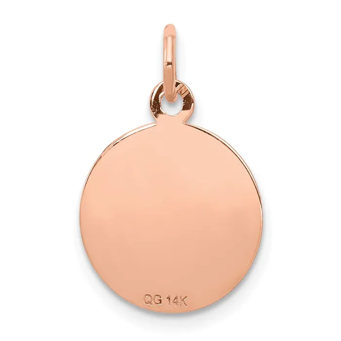 TreasureFineJewelers Earrings 14k Rose Gold RoseGold Holy Communion Charm