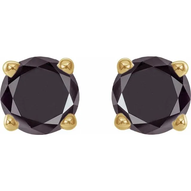 TreasureFineJewelers Earrings 14K Yellow Gold 13 CTW Natural Black Diamond Stud Earring with Friction Post