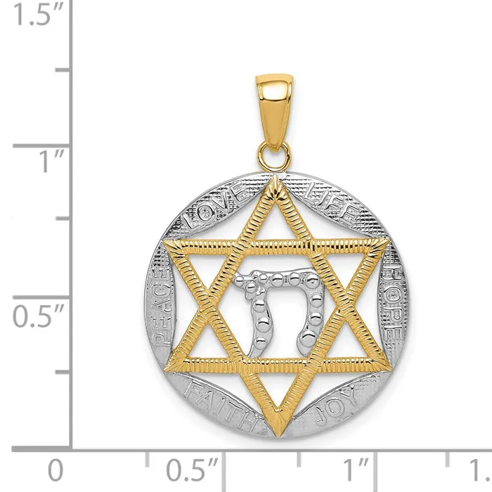 TreasureFineJewelers Necklaces 14K wRhodium Polished Star of David wChai Round Pendant
